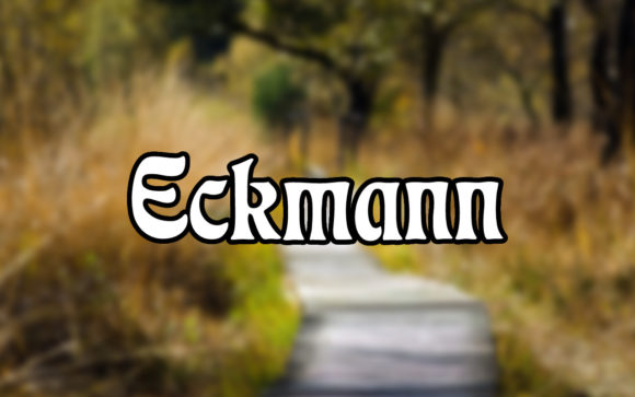 Eckmann: The Serif Font That Bridges Classic and Creative