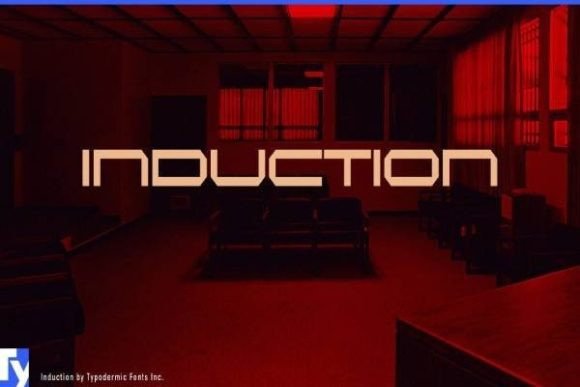 Induction: A Digital Display Font for Bold, Modern Designs