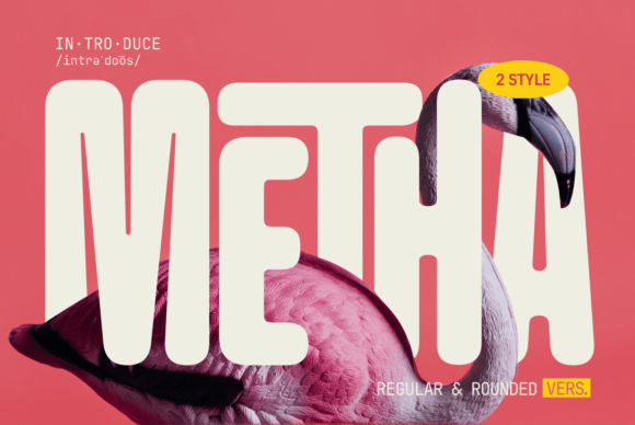 Metha: The Modern Sans Serif That Feels Like a Handshake