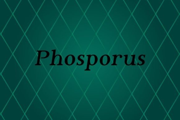 Phosporus: A Sans Serif Built for Modern Brand Clarity
