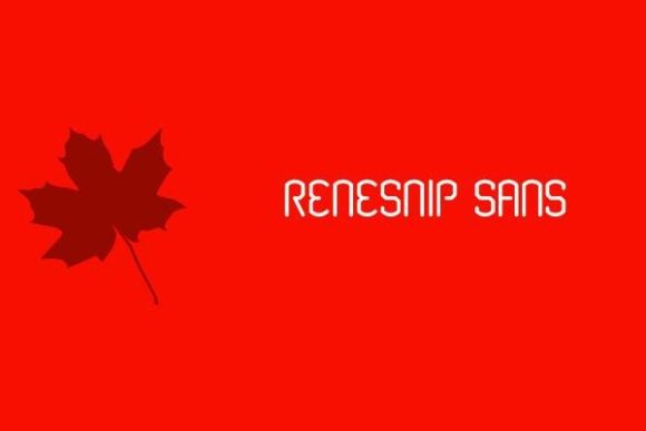 Renesnip: The Display Font for Bold Branding