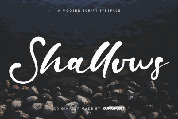 Shallows: The Modern Script Font for Creative Brands